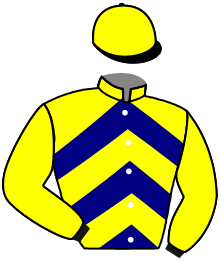 Casaque de COME AWAY