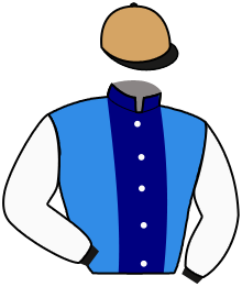 Casaque de LESSLEPASSER