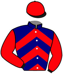 Casaque de KALIFORNIE