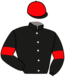 Casaque de IDEAL DE BAULON