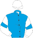 Casaque de THE GREAT DANSILI