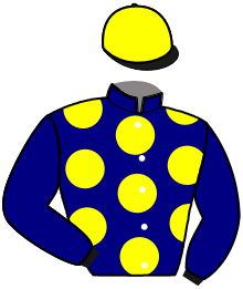 Casaque de JOLICOEUR DU MIREL