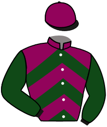 Casaque de CAREGIVER