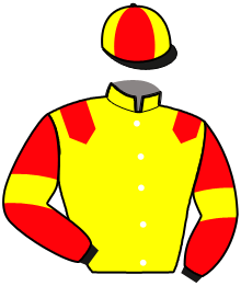 Casaque de JACKPOT DE L'ENVOL