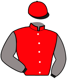 Casaque de ICARE DE MONTFORT