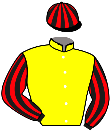 Casaque de ROMANCIER NOCTURNE