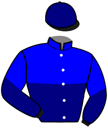 Casaque de GREAT PRIDE