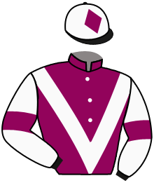 Casaque de SPEEDY GREEN