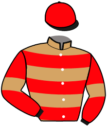 Casaque de MONSTER SPEED