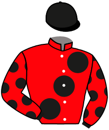 Casaque de CHAPEAU DE PAILLE