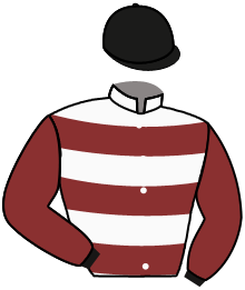 Casaque de JUST IN TIME GAME