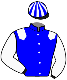 Casaque de INNOCENT ARCTIC