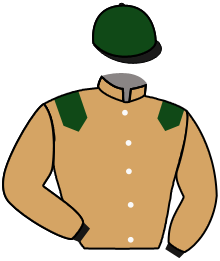 Casaque de CHECKERED FLAG