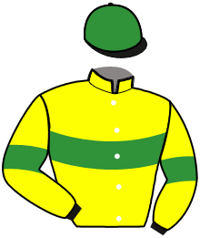 Casaque de NELSON VOLTIGEUR