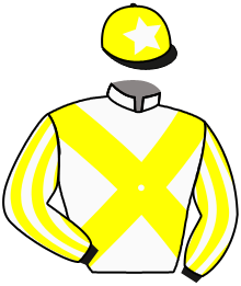 Casaque de VERDANSK