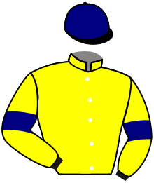 Casaque de KING HARTWOOD