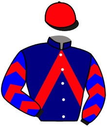 Casaque de KING OF SAINTLY