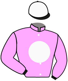 Casaque de ALPHA WONDER