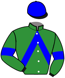 Casaque de IRISH PARKER