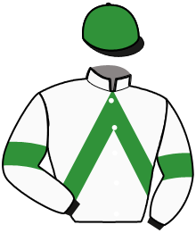 Casaque de NELSON D'ARIANE
