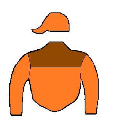Casaque de GIPSY VANNER