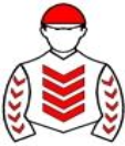 Casaque de MANHATTAN BLONDE