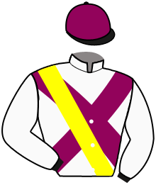 Casaque de WINNER HORSE