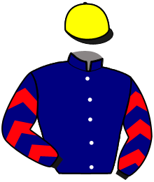 Casaque de MAESTRIA DREAM