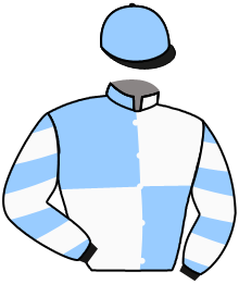 Casaque de PRIDE OF ARRAS