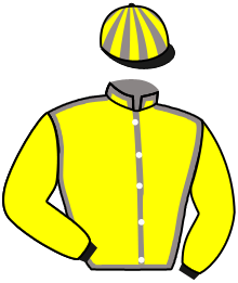 Casaque de ULTRASPI