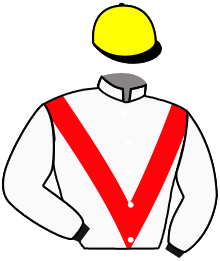 Casaque de FARFLIES