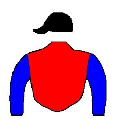 Casaque de PITER ALFONSO