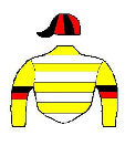 Casaque de CELTIC STORM