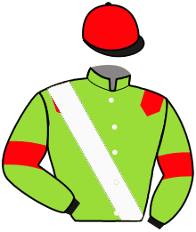Casaque de LES DIGGERS