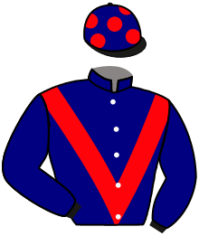 Casaque de GLORY HIGHNESS
