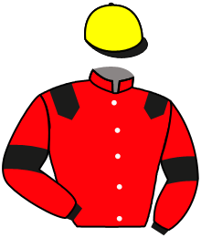Casaque de RAGNAR DU BERLAIS
