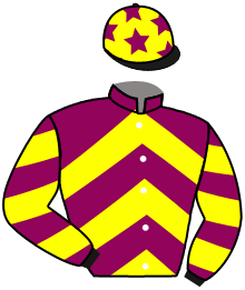 Casaque de TORREADOR