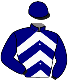 Casaque de NIMBUS DES BROUETS