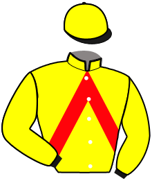 Casaque de LINGOT