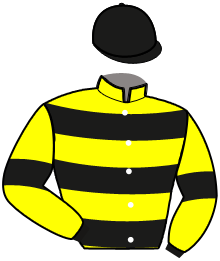 Casaque de L'AMIRAL DU SAPTEL