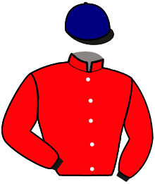 Casaque de JABLO DU CHENE