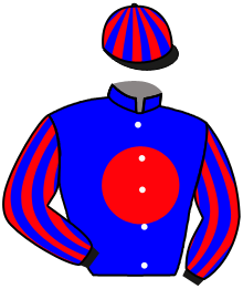 Casaque de WILLY WINNER