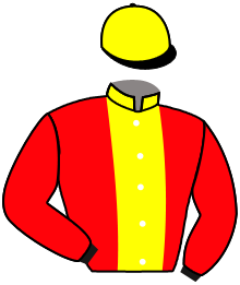 Casaque de BALTIMORE