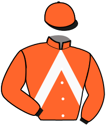 Casaque de NIMBUS DE L'AVRE