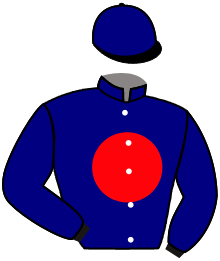 Casaque de MAGIC FLIGHT