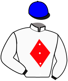 Casaque de KERBEROS