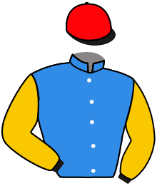 Casaque de DIVISION