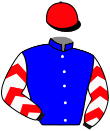 Casaque de GOLDY GLORY