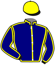 Casaque de NICO TEAM