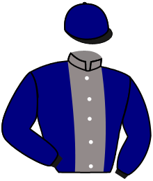 Casaque de AL GHARIYA